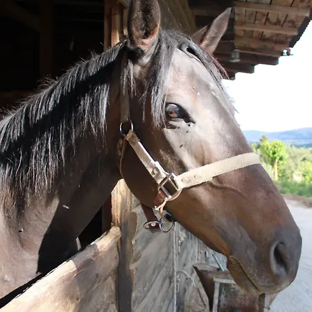 Ξενοδοχείο Boutique Skamnos 4*