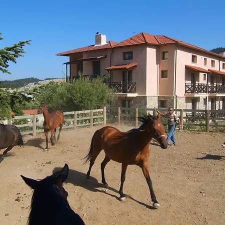 Ξενοδοχείο Boutique Skamnos