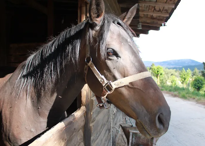 Ξενοδοχείο Boutique Skamnos 4*