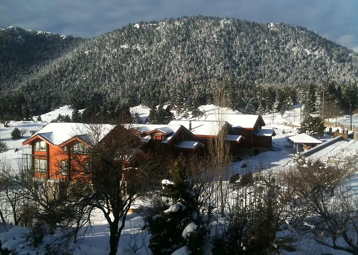 Ξενοδοχείο Boutique Skamnos